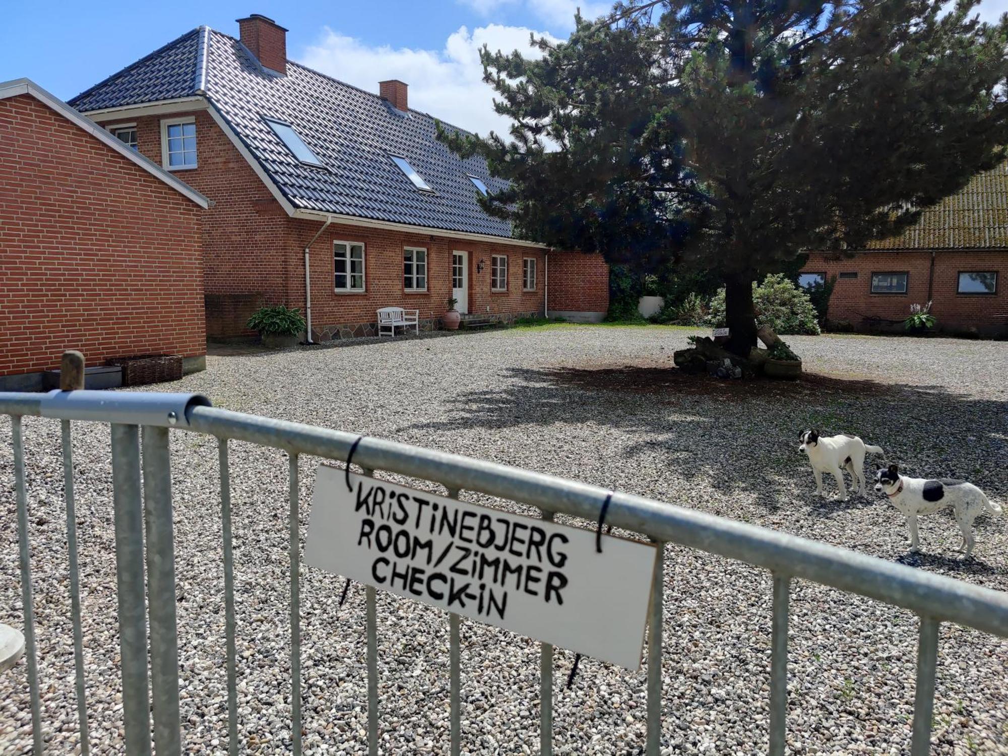 Ferienwohnung Kristinebjerg Jelling Exterior foto